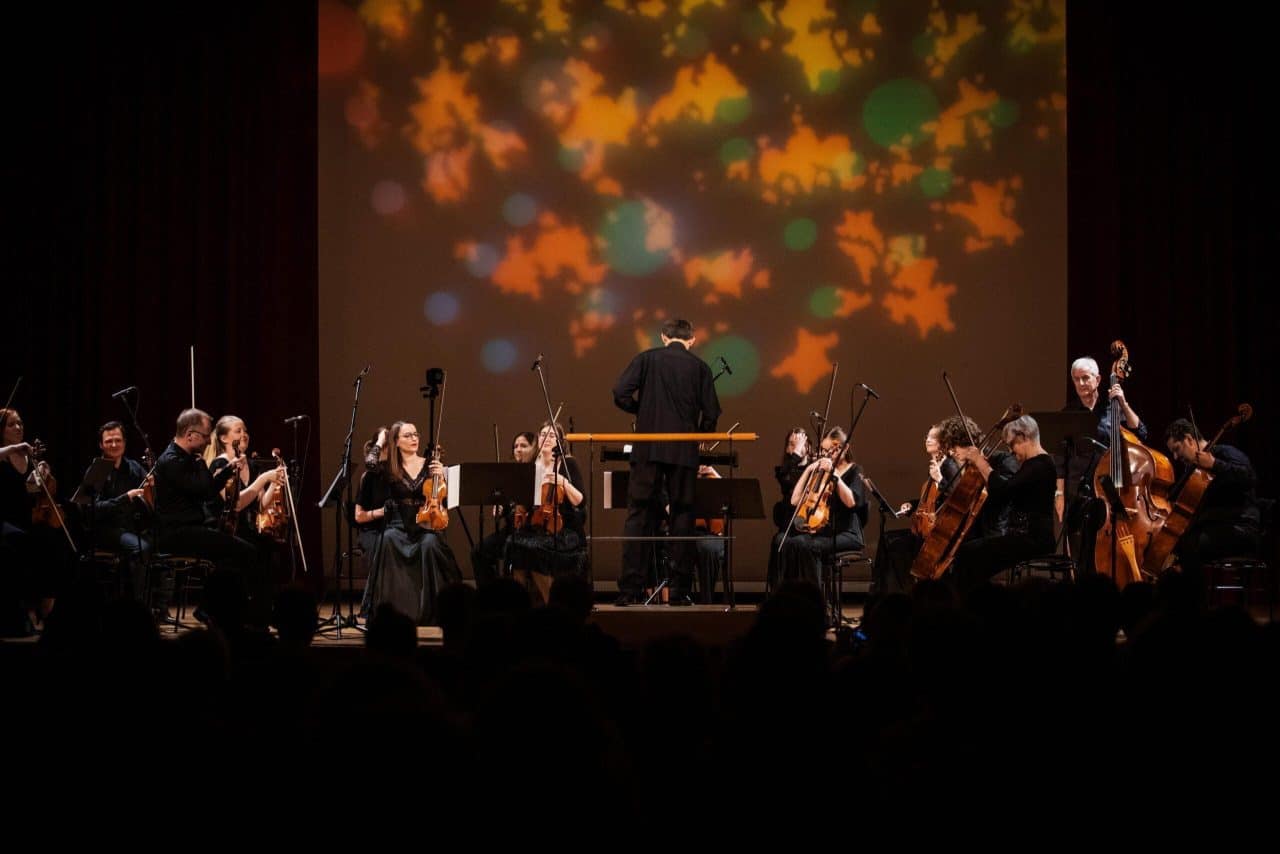 Komorni orkester in nogomet
