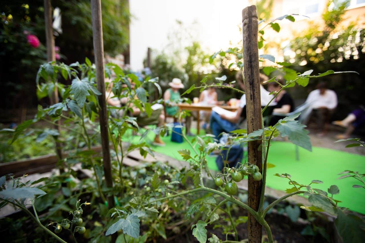 Sadikobežnica – izmenjevalnica sadik