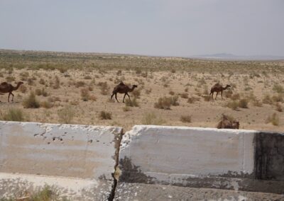 Uzbekistan | Društvo popotnikov Vagant