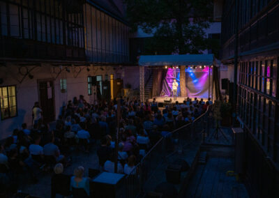 Tin in ostali pacienti | StandUpLent | Festival Lent | foto Jure Zagoranski | 20. 6. 2025