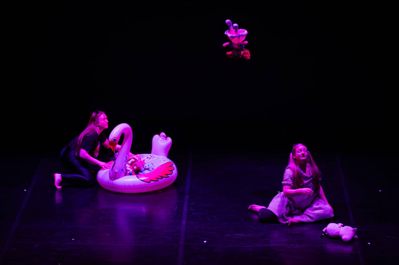 Plesni projekt Centra plesa