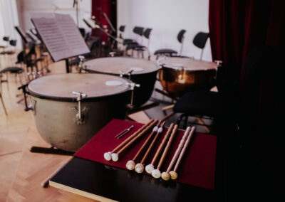 Komorni orkester iz Stuttgarta | Orkestrski cikel |foto Dejan Bulut | 10. 1. 2024