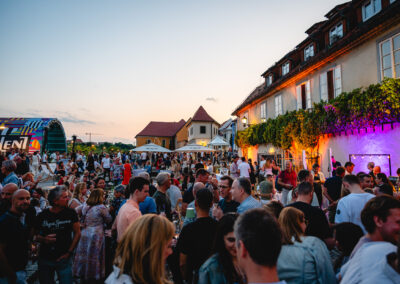 Vinsko lentanje | Festival Lent | foto Žan Osim | 20. 6. 2025