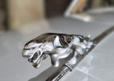 Razstava Jaguar
