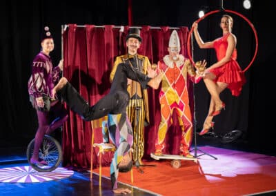 Cirkus za zaveso (1)