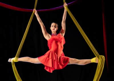 Cirkus za zaveso (8)