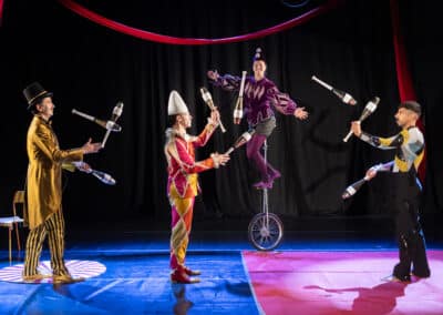 Cirkus za zaveso (9)