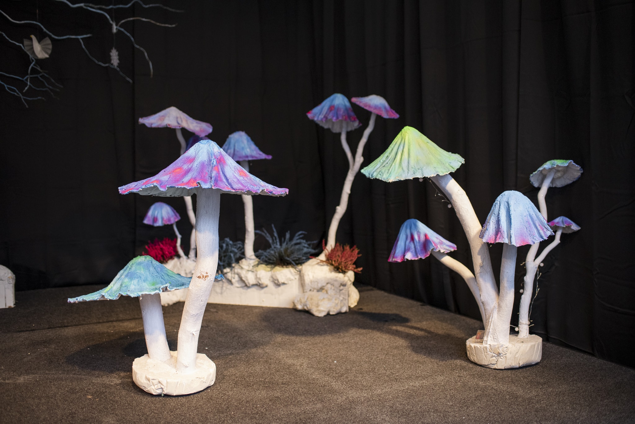 Okrasne gobice z Manjo Jerič