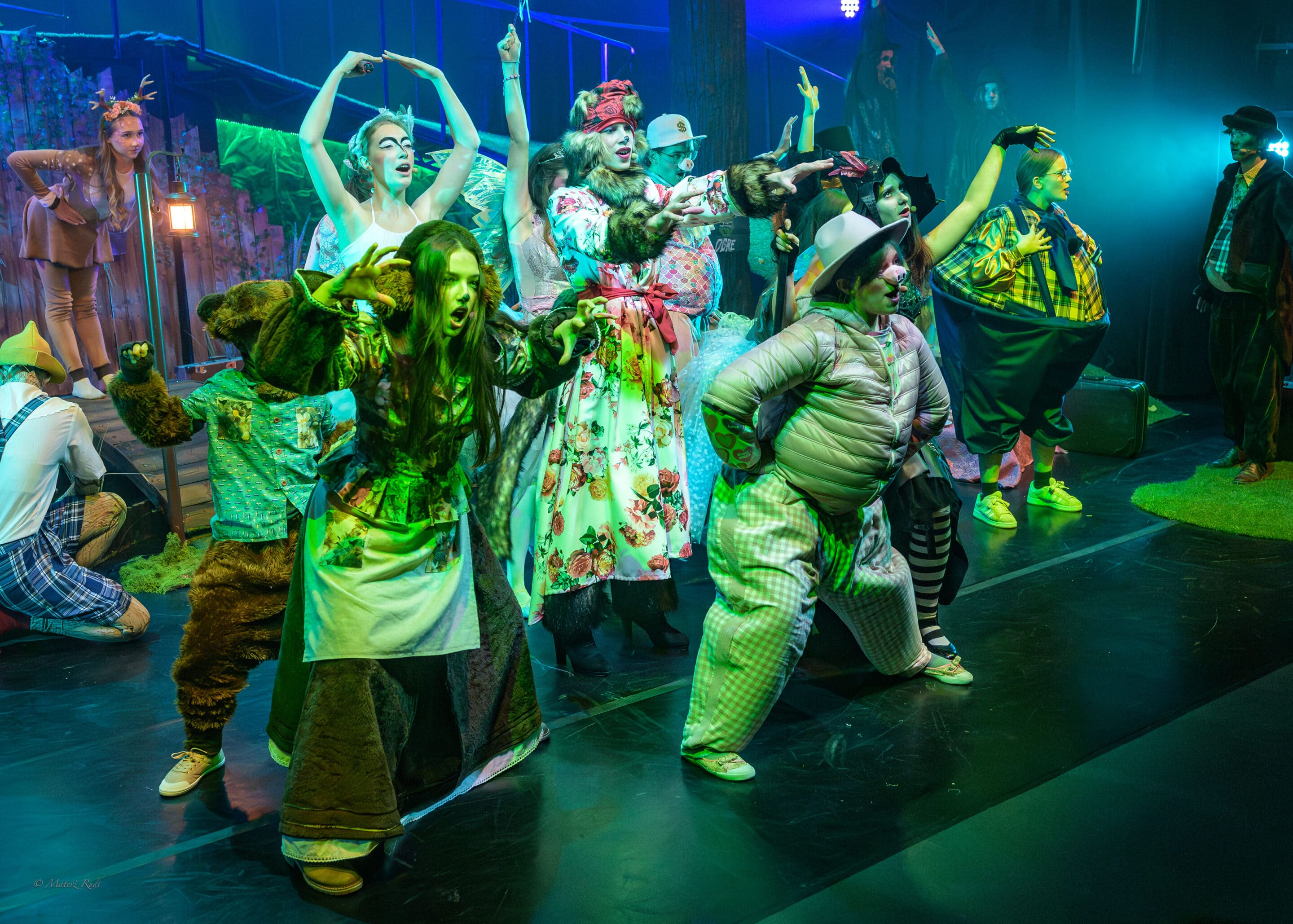 Shrek Premiera | foto Matevž Rudl