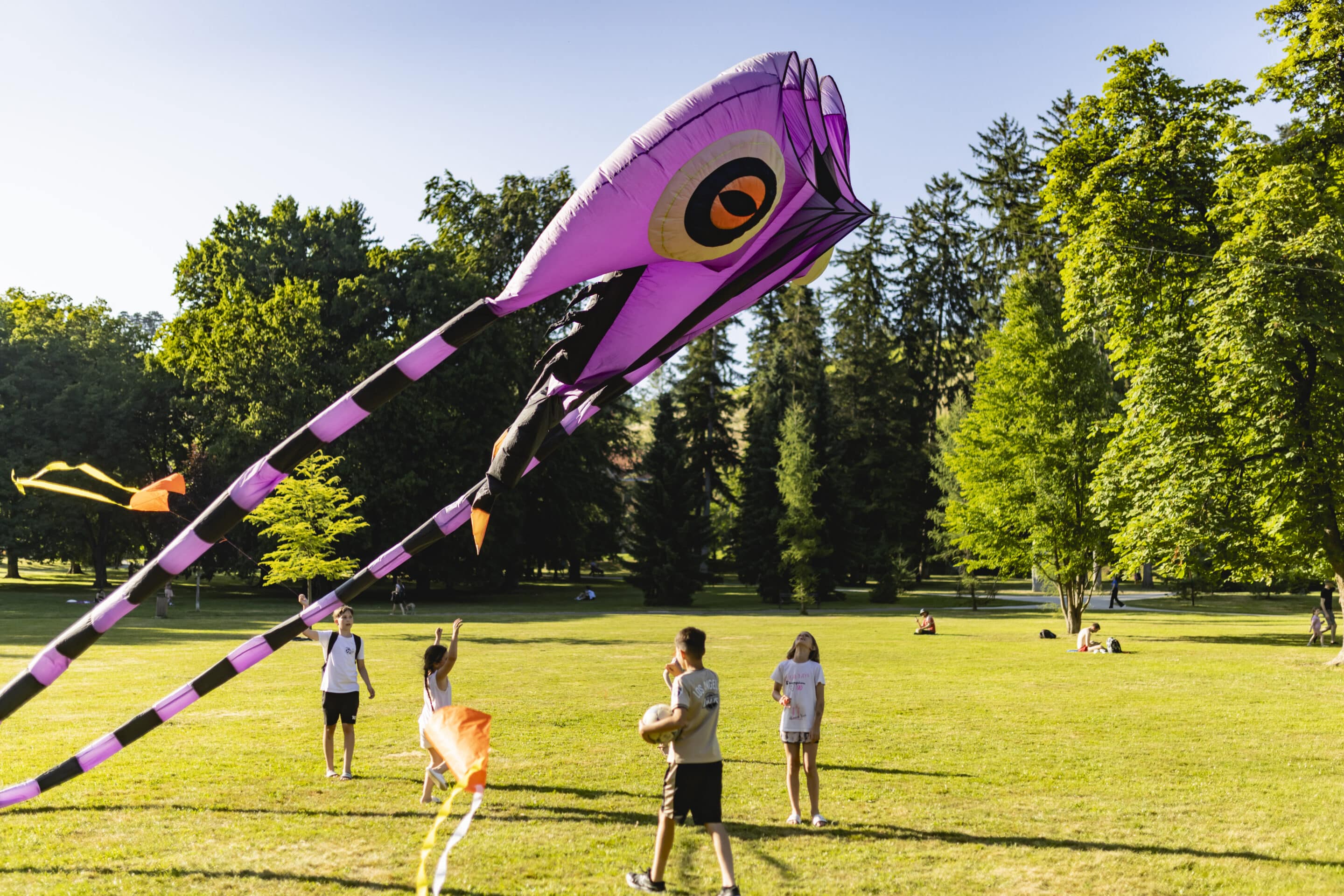 Art kamp