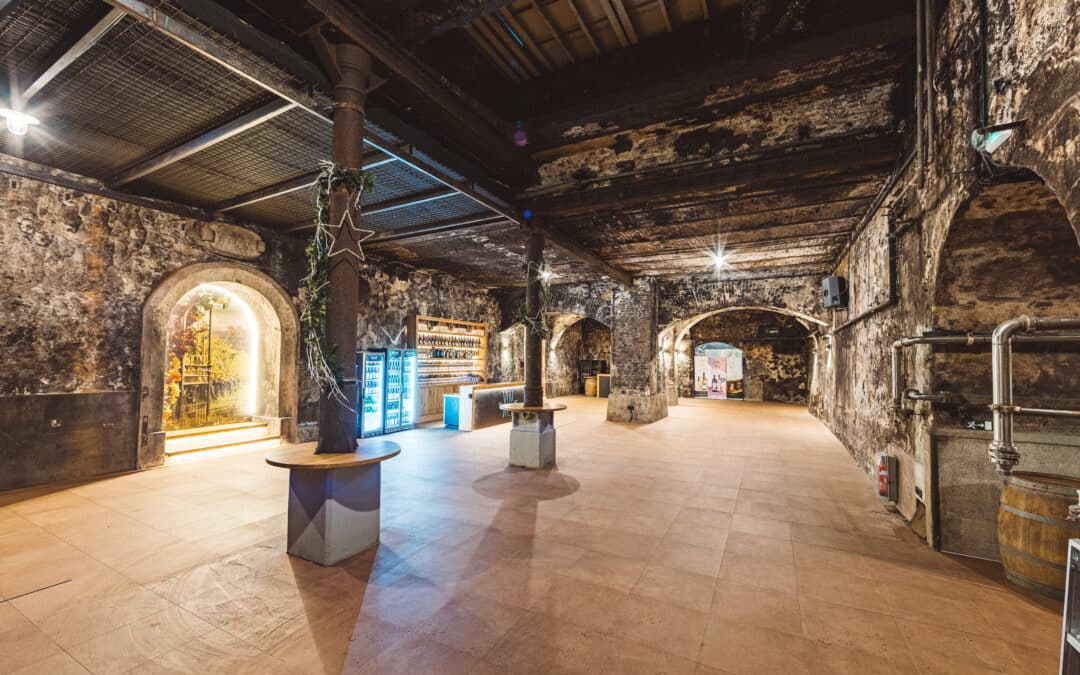 Vinagova klet, Maribor