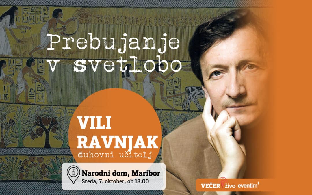 Vili Ravnjak web